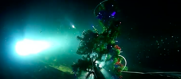 Крымские дайверы установили елку на дне Черного моря. Как они умудрились подключить гирлянду? - Sputnik Узбекистан