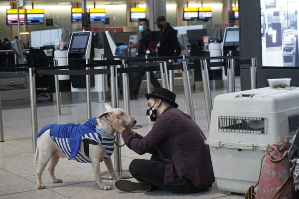 Турист с собакой в терминале 2 аэропорта Хитроу в Лондоне, Великобритания  - Sputnik Ўзбекистон