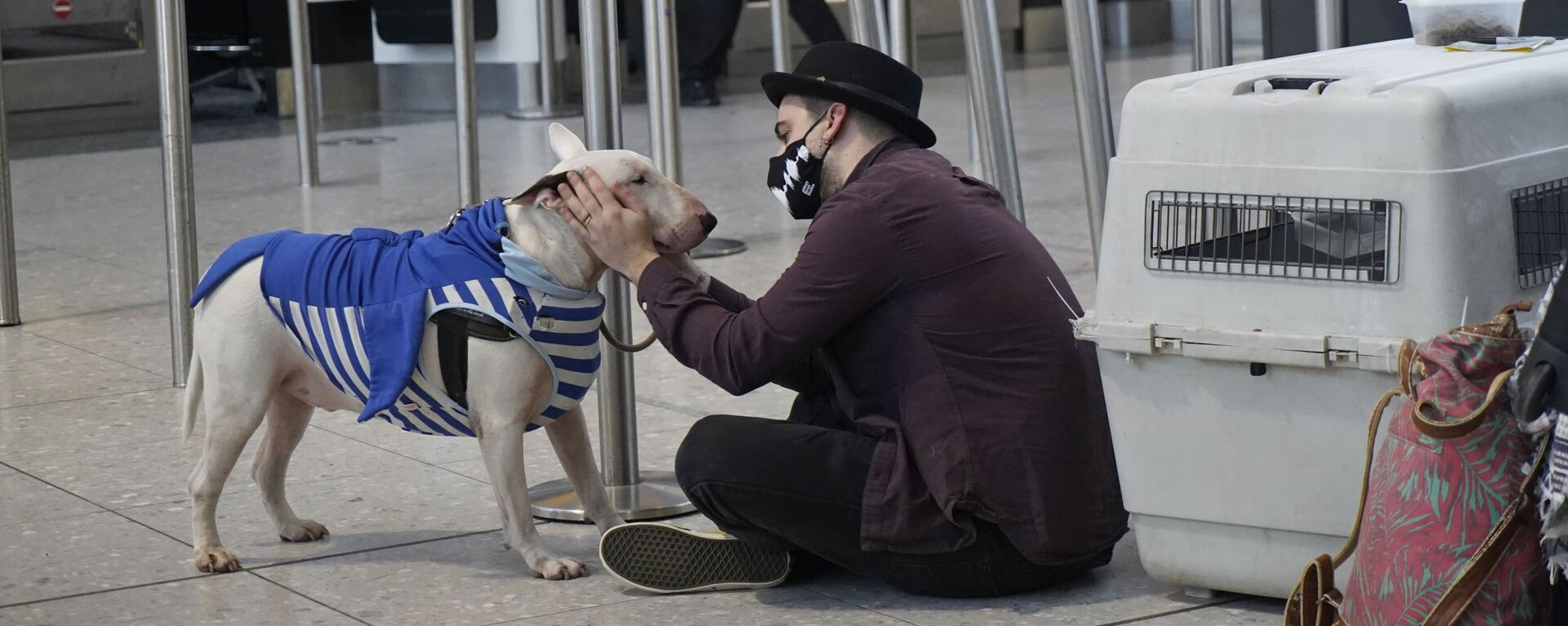 Турист с собакой в терминале 2 аэропорта Хитроу в Лондоне, Великобритания  - Sputnik Узбекистан, 1920, 29.03.2021