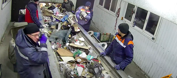 Сортировщики мусора спасли кота за секунды до неминуемой гибели - Sputnik Узбекистан