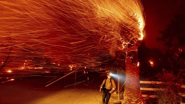 Пожарный проходит мимо горящего дерева во время тушения пожара в общине Сильверадо в Калифорнии - Sputnik Узбекистан