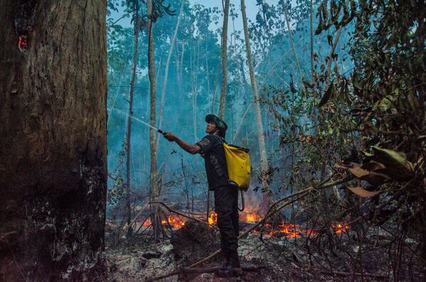 Тушение лесных пожаров в Бразилии - Sputnik Узбекистан