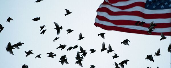 Флаг США Флаг США - Sputnik Узбекистан