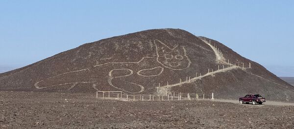 Геоглиф кошки возрастом более 2000 лет на плато Наска в Перу Геоглиф кошки возрастом более 2000 лет на плато Наска в Перу - Sputnik Узбекистан