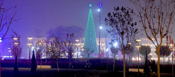 Новогодняя ёлка в центре Ташкента Новогодняя ёлка в центре Ташкента - Sputnik Ўзбекистон