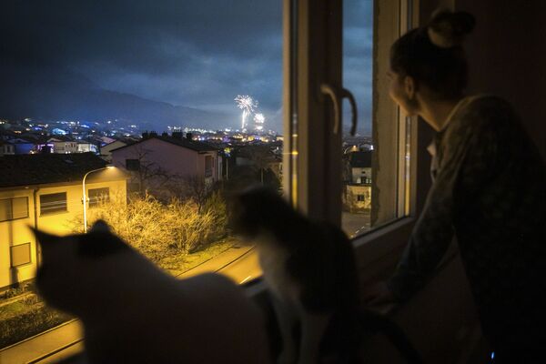 Девушка и кошки во время празднования Нового года. - Sputnik Узбекистан