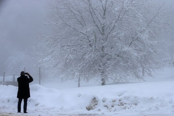Мужчина наслаждается снежным деревом на Корсике. - Sputnik Узбекистан