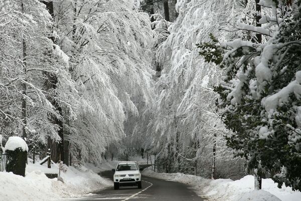 Автомобиль проезжает под покрытыми снегом деревьями на Корсике. - Sputnik Узбекистан