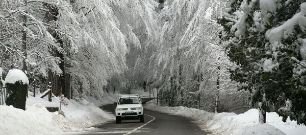 Автомобиль проезжает под покрытыми снегом деревьями на Корсике  - Sputnik Ўзбекистон