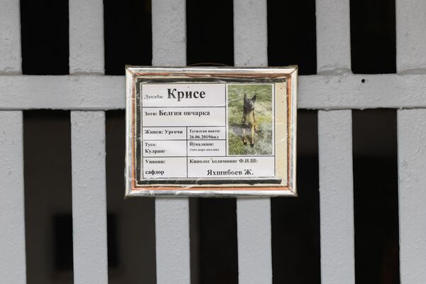 Собаки живут в питомнике в отдельных вольерах, на каждом из которых висит табличка с указанием клички, породы, даты рождения и имени кинолога, за которым закреплено животное. - Sputnik Узбекистан