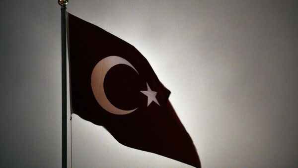 Флаг Турецкой Республики - Sputnik Узбекистан