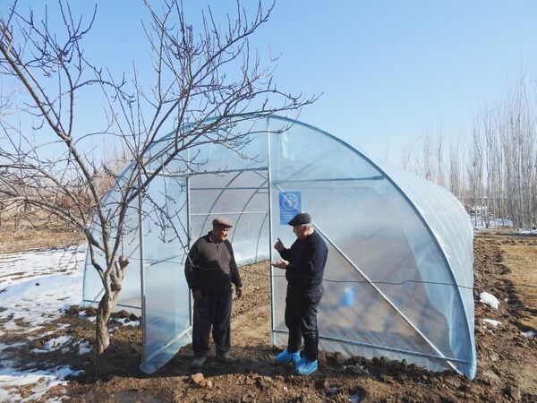 ФАО безвозмездно построила и передала 14 теплиц жителям Кашкадарьинской области - Sputnik Узбекистан