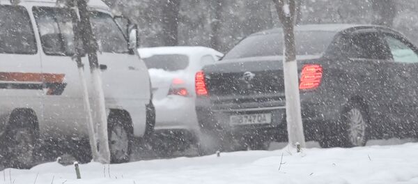 Ташкент снова оказался в снежном плену  - Sputnik Узбекистан