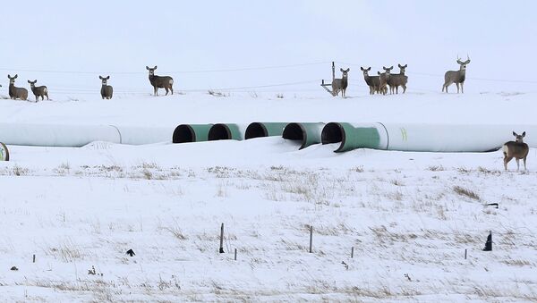 Трубы для нефтепровода Keystone XL в Гаскойне, Северная Дакота - Sputnik Узбекистан