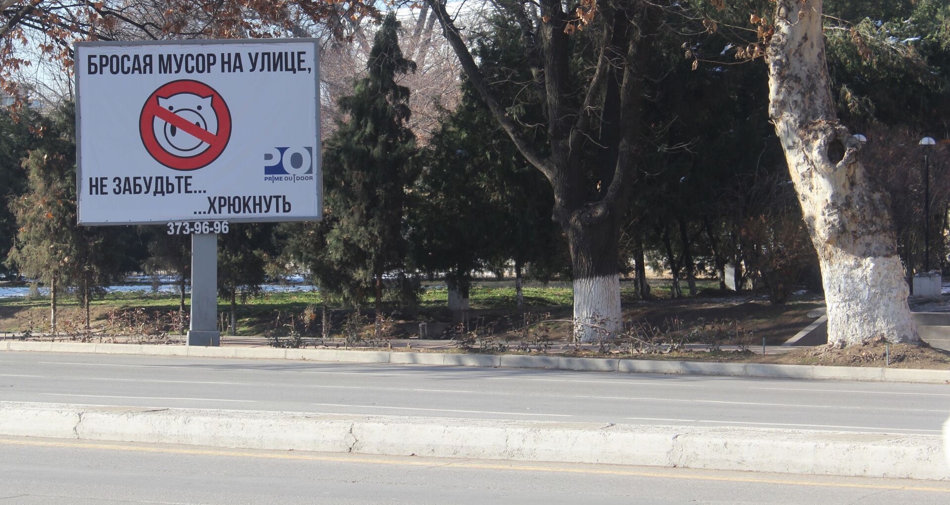 Социальная реклама в Ташкенте для борьбы с хаотичными свалками - Sputnik Узбекистан, 1920, 10.03.2021