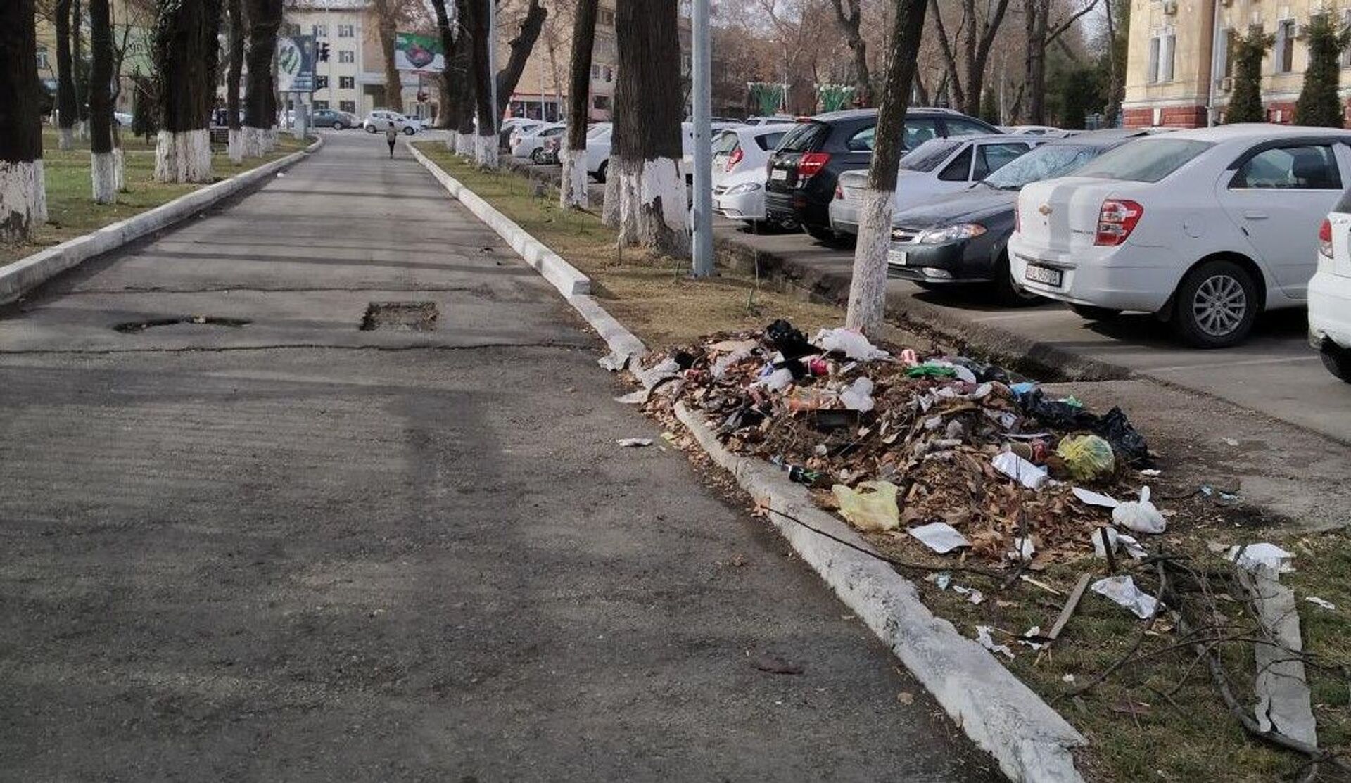 Мусор рядом с тротуаром на одной из улиц в центре Ташкента - Sputnik Узбекистан, 1920, 10.03.2021