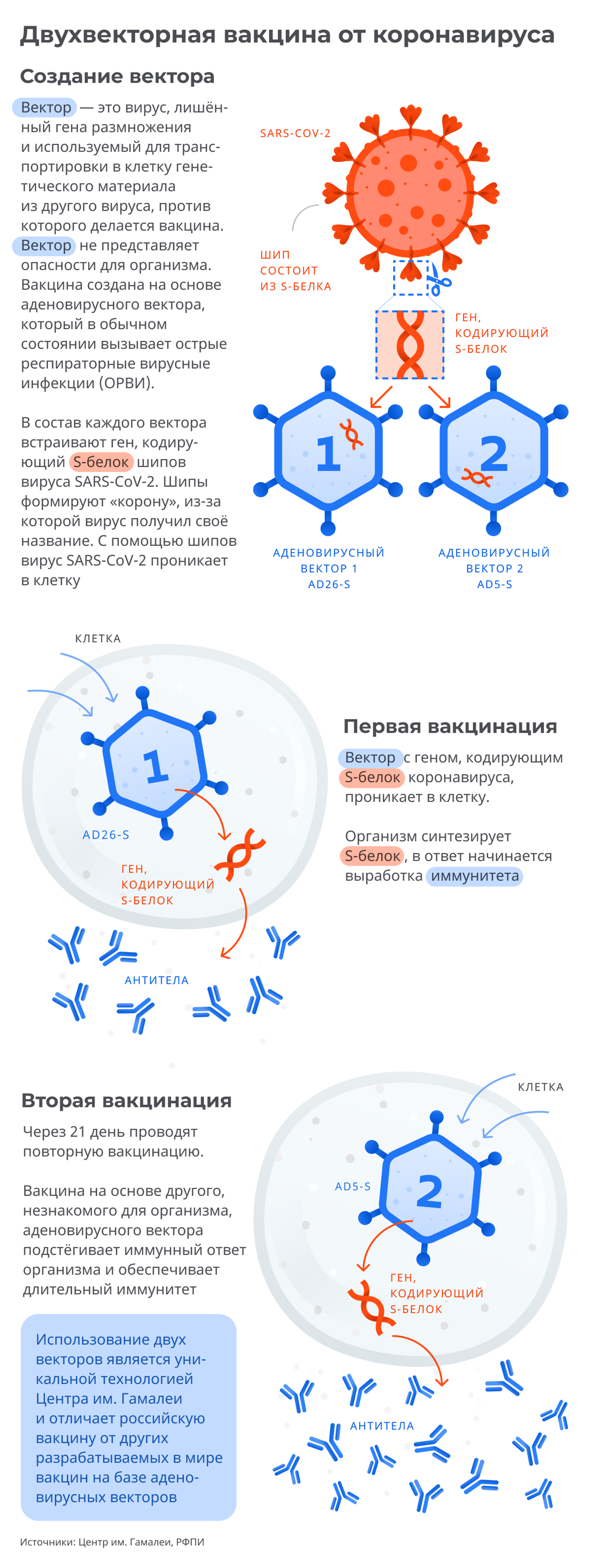 Как работает двухвекторная вакцина - Sputnik Узбекистан, 1920, 10.03.2021