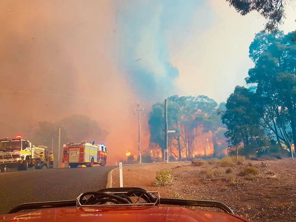 В Австралии снова начались ужасающие пожары. - Sputnik Узбекистан