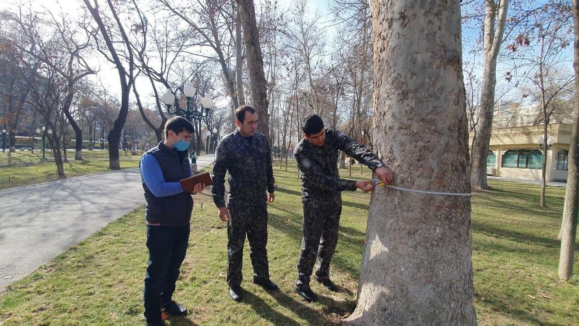 Инвентаризация деревьев в парке около Голубых куполов - Sputnik Узбекистан, 1920, 10.03.2021