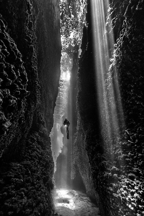 Фото австралийского фотографа, победившее в категории Черное и белое. - Sputnik Узбекистан