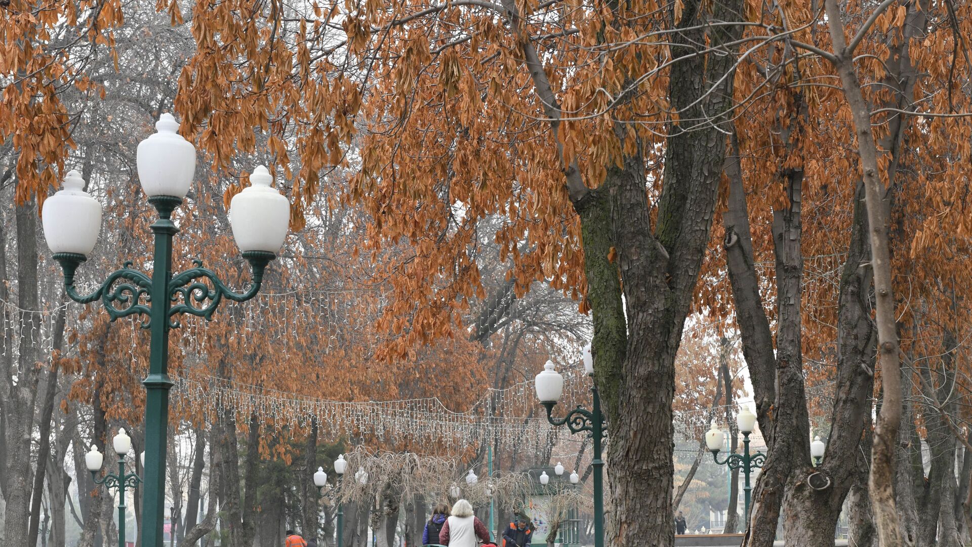 Парк Голубые купола в Ташкенте - Sputnik Ўзбекистон, 1920, 22.11.2021