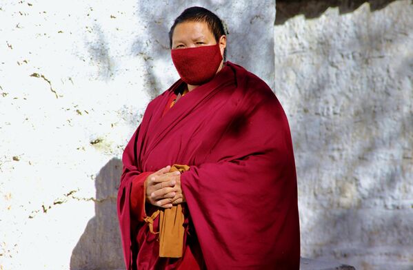 Что же защищает тибетцев от смертельной инфекции, до сих пор остается загадкой. - Sputnik Узбекистан