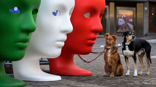 Собаки, ожидающие своего хозяина рядом с пластиковыми сиденьями, изображающими лица цвета итальянского флага - Sputnik Ўзбекистон