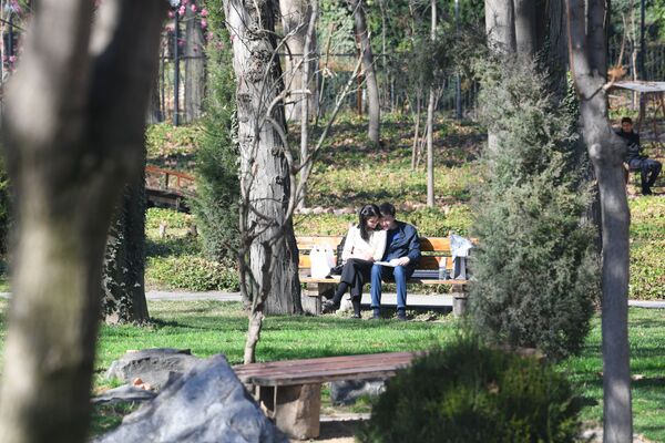 Японский сад в центре столицы в солнечный февральский день выгляди особенно волшебно. - Sputnik Узбекистан