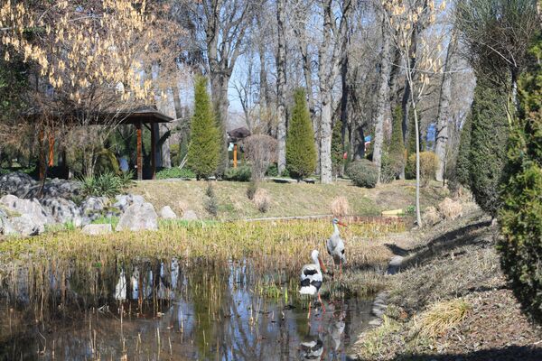 Японский сад - очень популярное место среди влюбленных. Сад находится прямо в центре Ташкента. - Sputnik Узбекистан