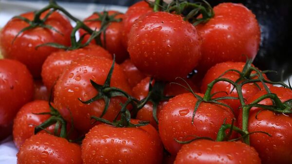 Pomidori na prilavke - Sputnik O‘zbekiston