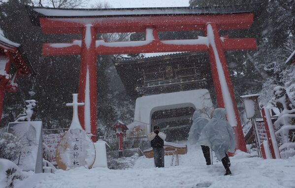 Последствия сильнейшего за 13 лет снегопада в Токио, февраль 2014 года. - Sputnik Узбекистан