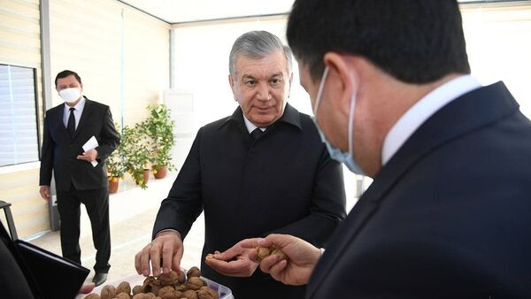 Президент Узбекистана Шавкат Мирзиёев во время визита в Наманганскую область - Sputnik Ўзбекистон
