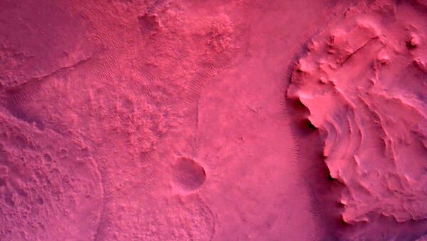 Fotografii, snyatie issledovatelskim apparatom NASA's Perseverance Mars Rover s pomoshyu kameri Rover Down-Look Camera - Sputnik O‘zbekiston