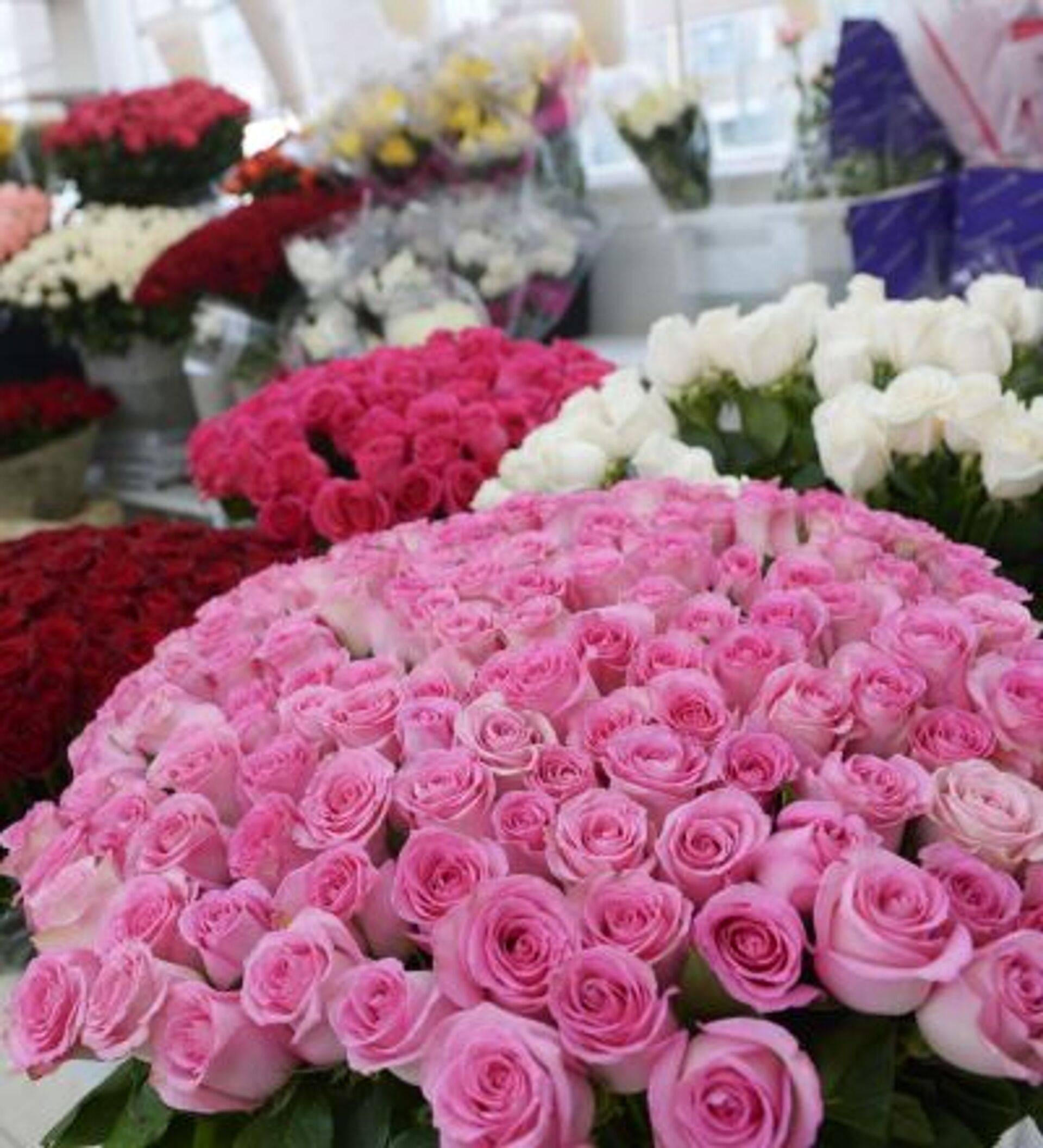 Миллион роз купить. Цветы на продажу. Миллион роз. Миллион роз Ярославль. Миллион розовых роз.