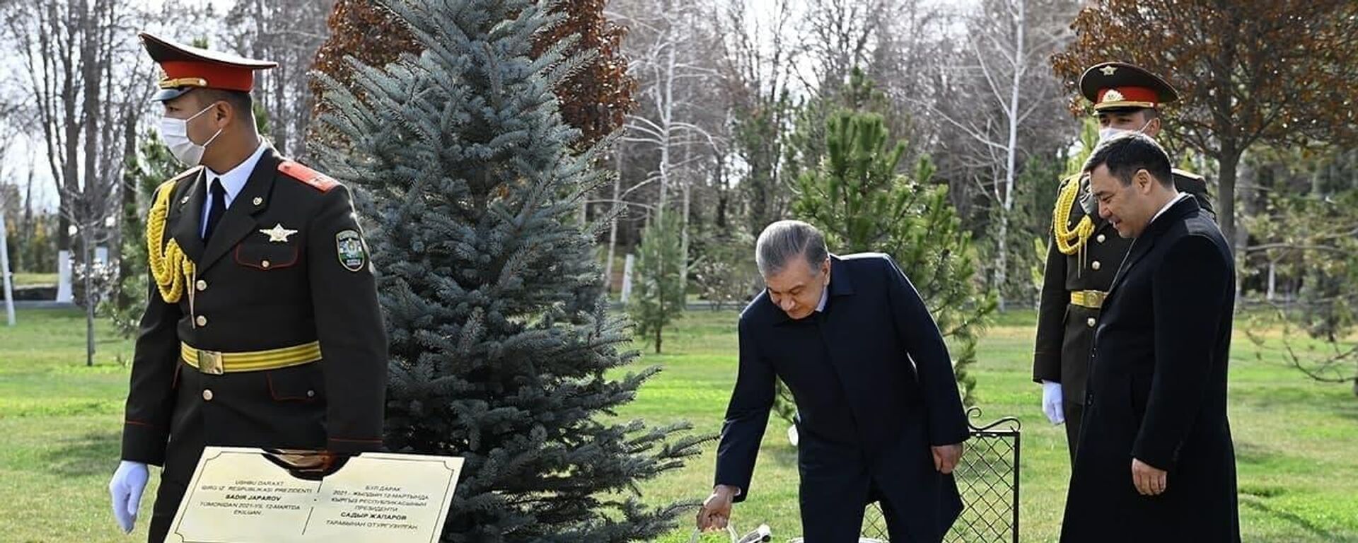 Шавкат Мирзиёев и Садыр Жапаров высадили дерево на Аллее почетных гостей в резиденции Куксарой - Sputnik Узбекистан, 1920, 12.03.2021