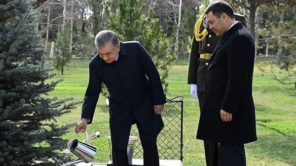 Шавкат Мирзиёев и Садыр Жапаров высадили дерево на Аллее почетных гостей в резиденции Куксарой - Sputnik Узбекистан