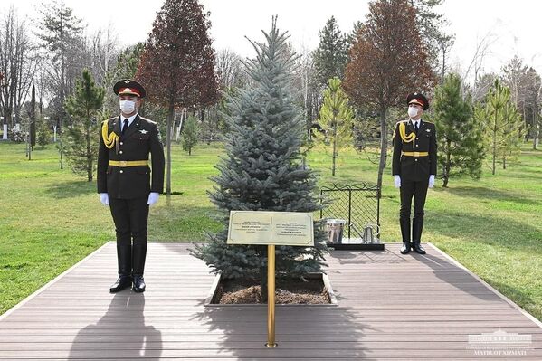 Утром 12 марта Шавкат Мирзиёев и Садыр Жапаров высадили дерево на Аллее почетных гостей в резиденции Куксарой. Оно стало символом начала нового этапа двусторонних отношений. - Sputnik Узбекистан