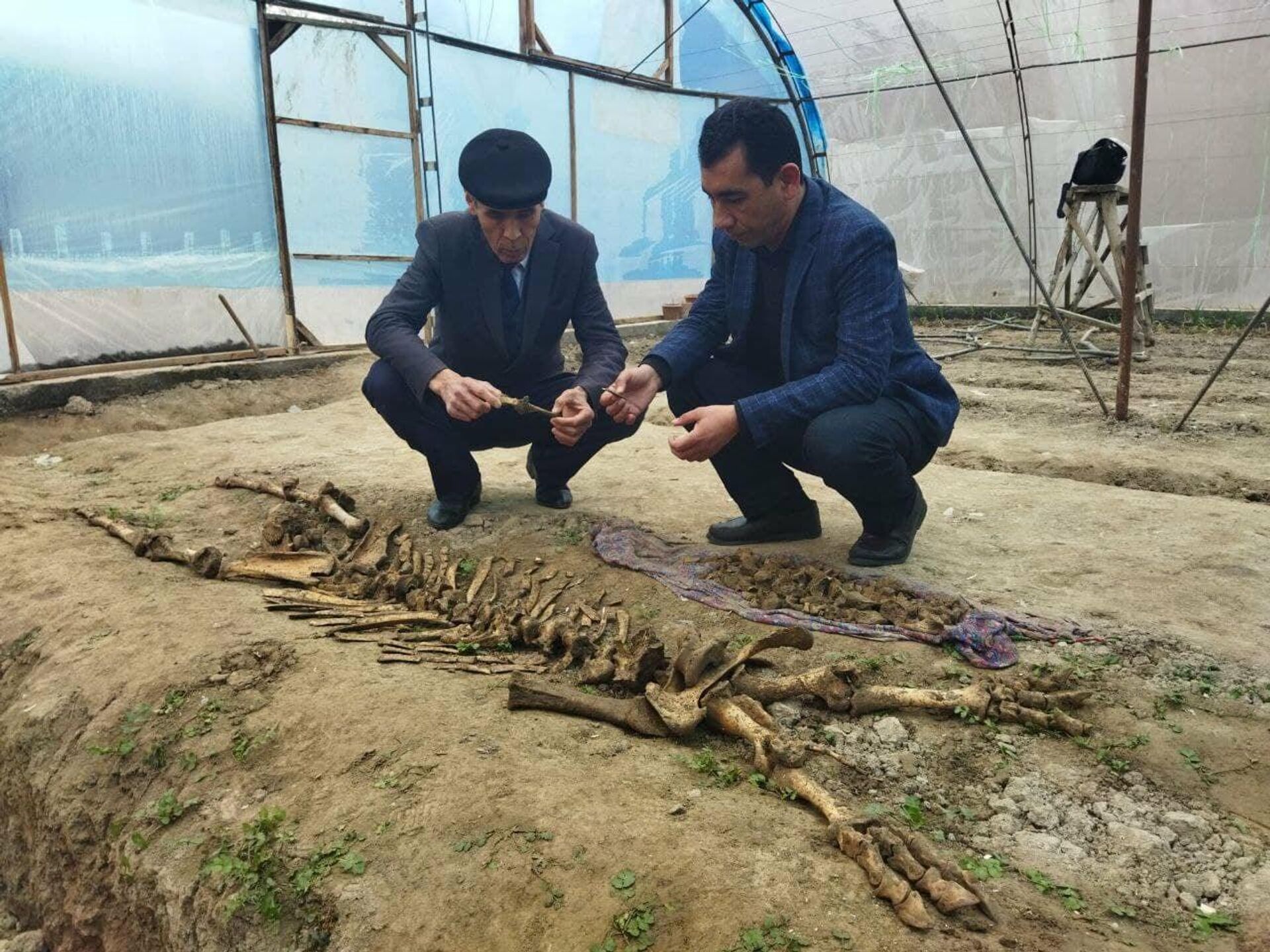 В Намангане обнаружили скелет неизвестного существа - Sputnik Узбекистан, 1920, 15.03.2021
