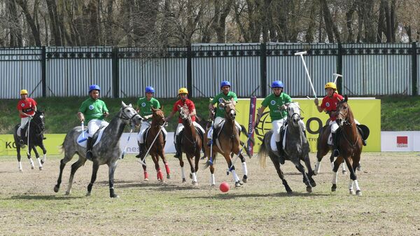 Turnir po konnomu polo v Tashkente - Sputnik O‘zbekiston