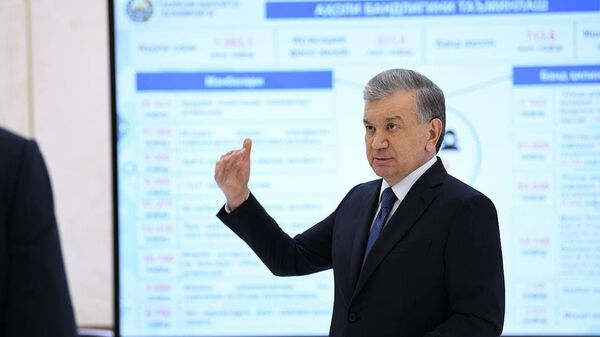 Президент одобрил планы сотен инвестиционных проектов для Хорезма - Sputnik Узбекистан