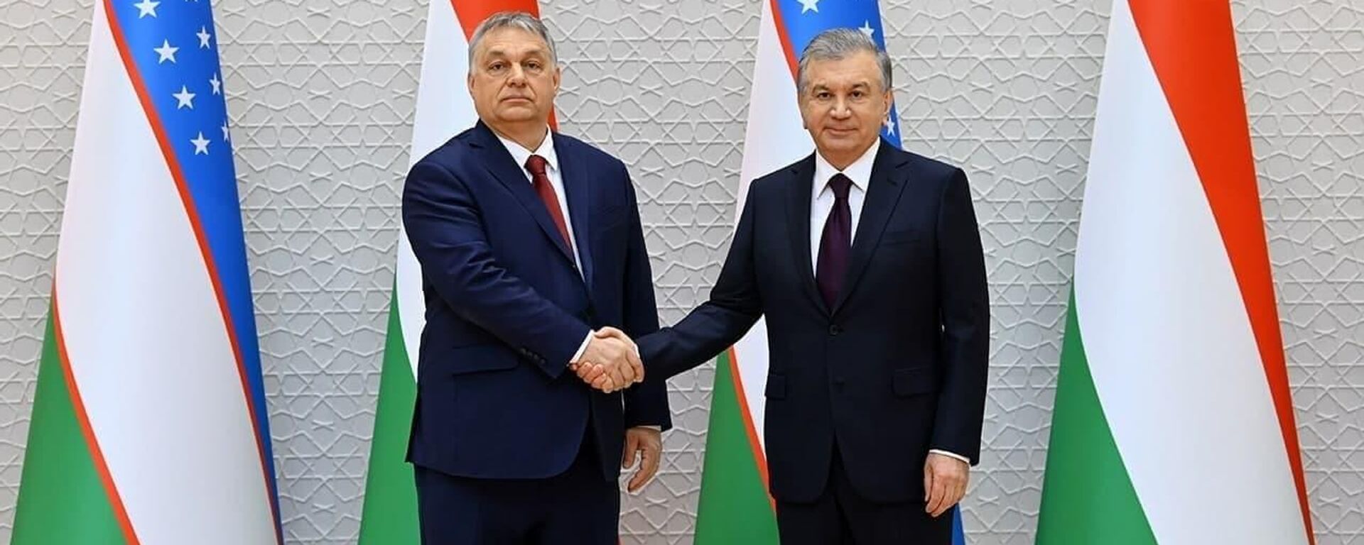 Президент Узбекистана Шавкат Мирзиёев (справа) и премьер-министр Венгрии Виктор Орбан - Sputnik Узбекистан, 1920, 30.03.2021