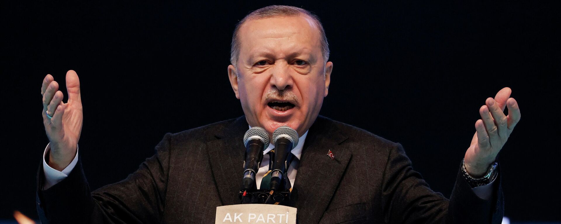 Президент Турции Реджеп Тайип Эрдоган - Sputnik Узбекистан, 1920, 13.04.2021