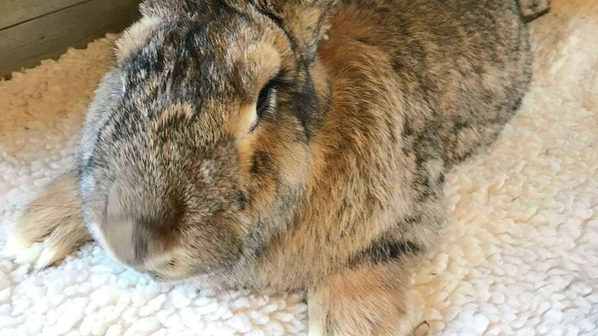 Jinsiy kiyim porno rasmlar