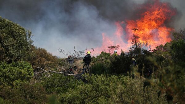 Тушение природного пожара в Кейптауне  - Sputnik Узбекистан