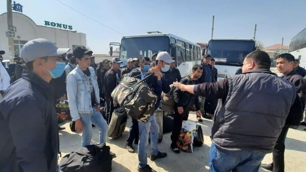 118 граждан Узбекистана выехали на работу в Казахстан - Sputnik Ўзбекистон