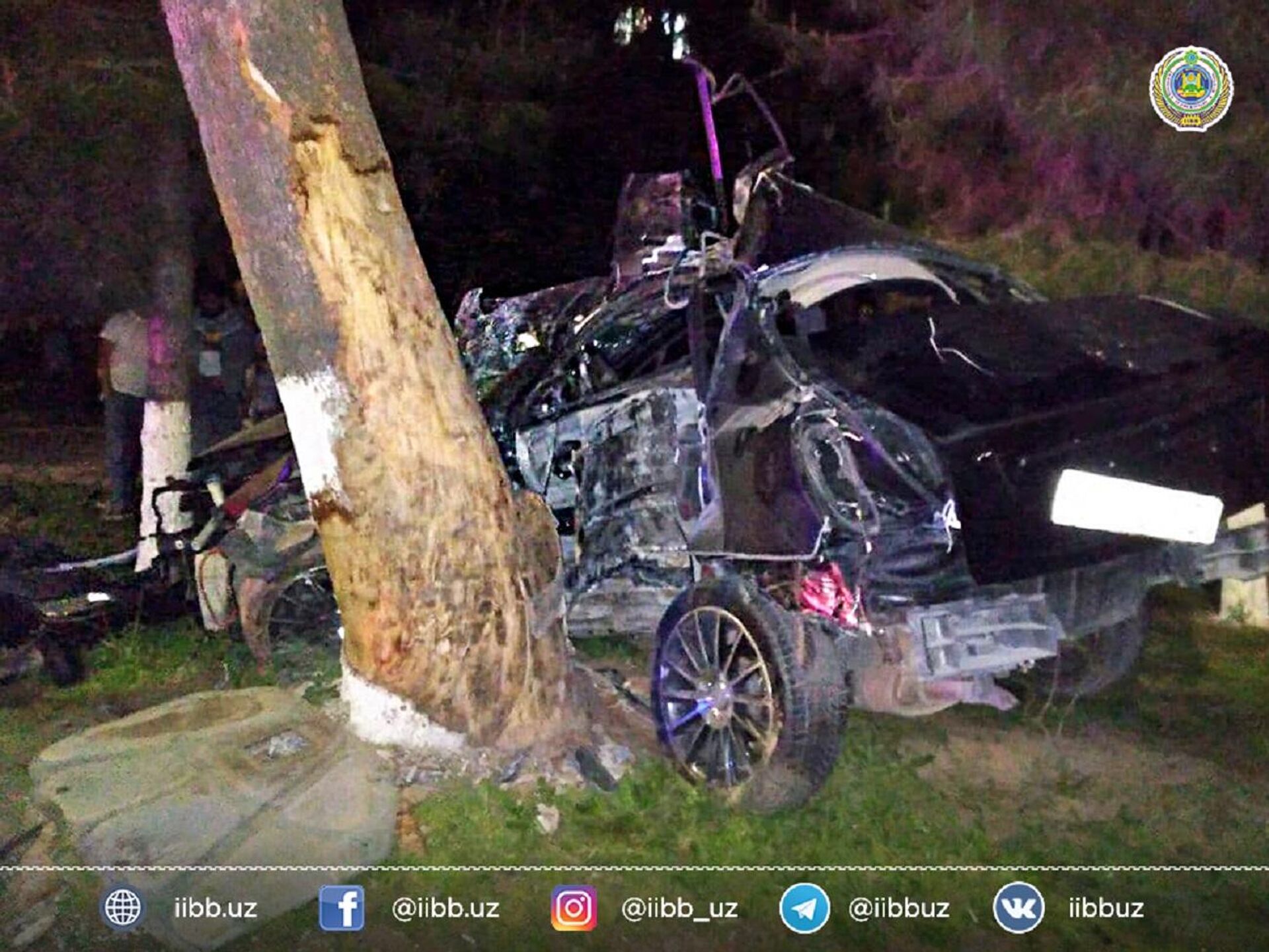 Дтп 2021 апреля. Авария автомобиль врезался в дерево.