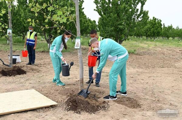Закладка нового парка в Кибрайском районе Ташкентской области - Sputnik Ўзбекистон