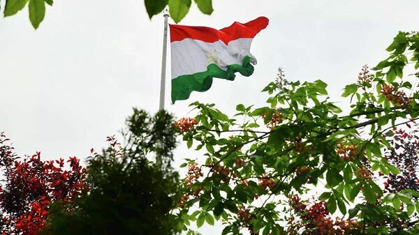 Флаг Таджикистана - Sputnik Ўзбекистон