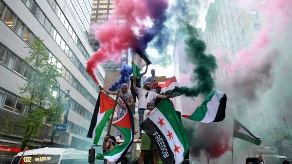 Demonstranti derjat palestinskiy i siriyskiy flagi v podderjku Palestini v sentre Manxettena - Sputnik O‘zbekiston