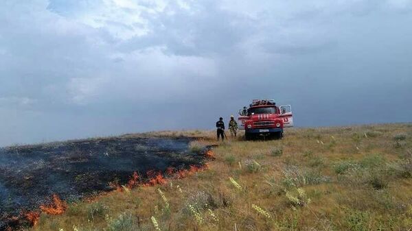 В Джизакской области загорелся участок земли в 15 гектар - Sputnik Узбекистан